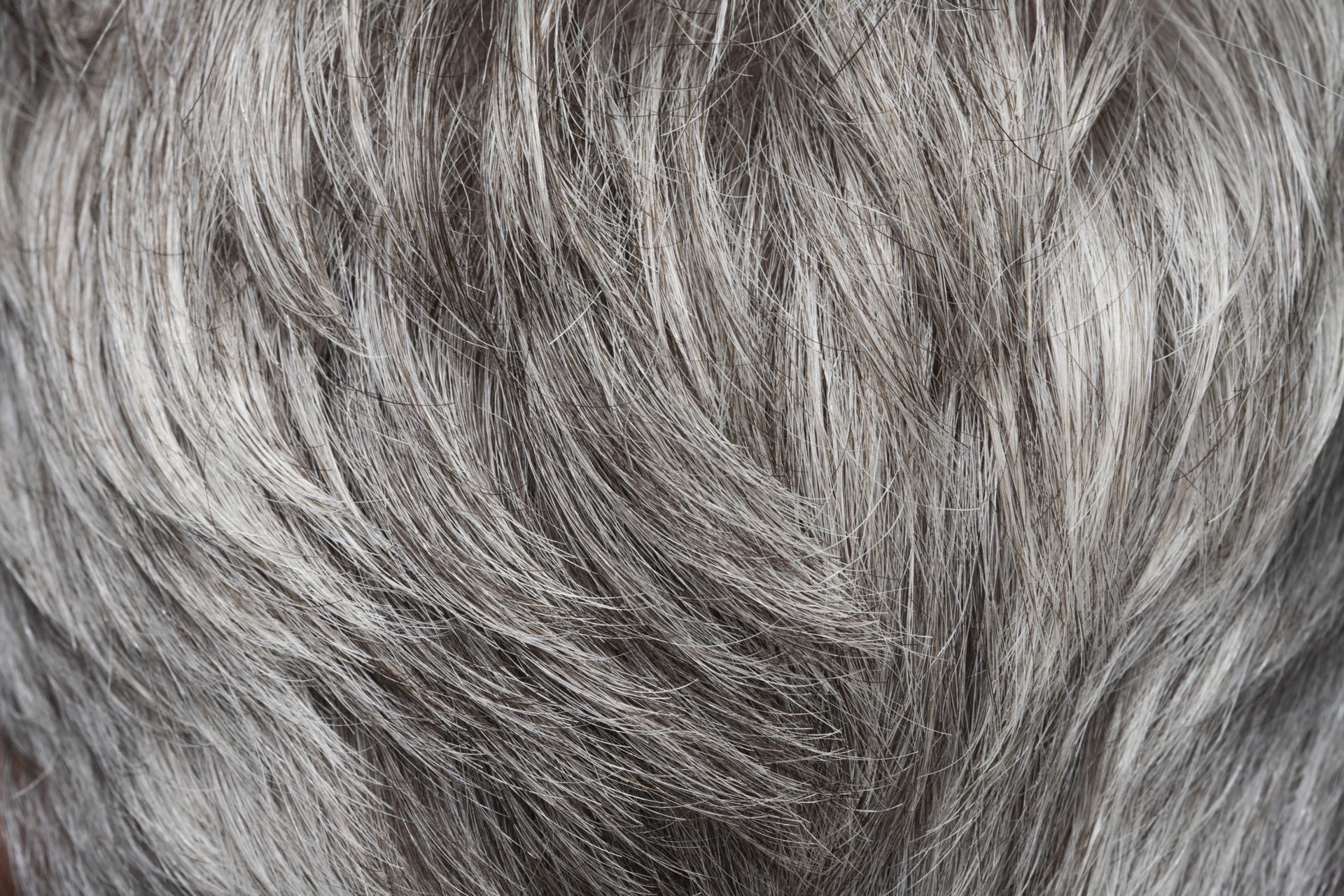 Седые волосы текстура