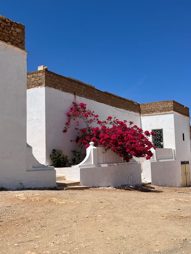 Starushki tolshki va pashki