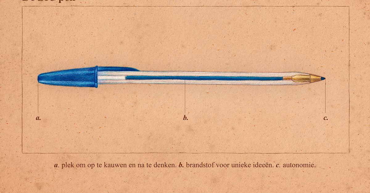 Opinie | Ik ben een docent in rouw