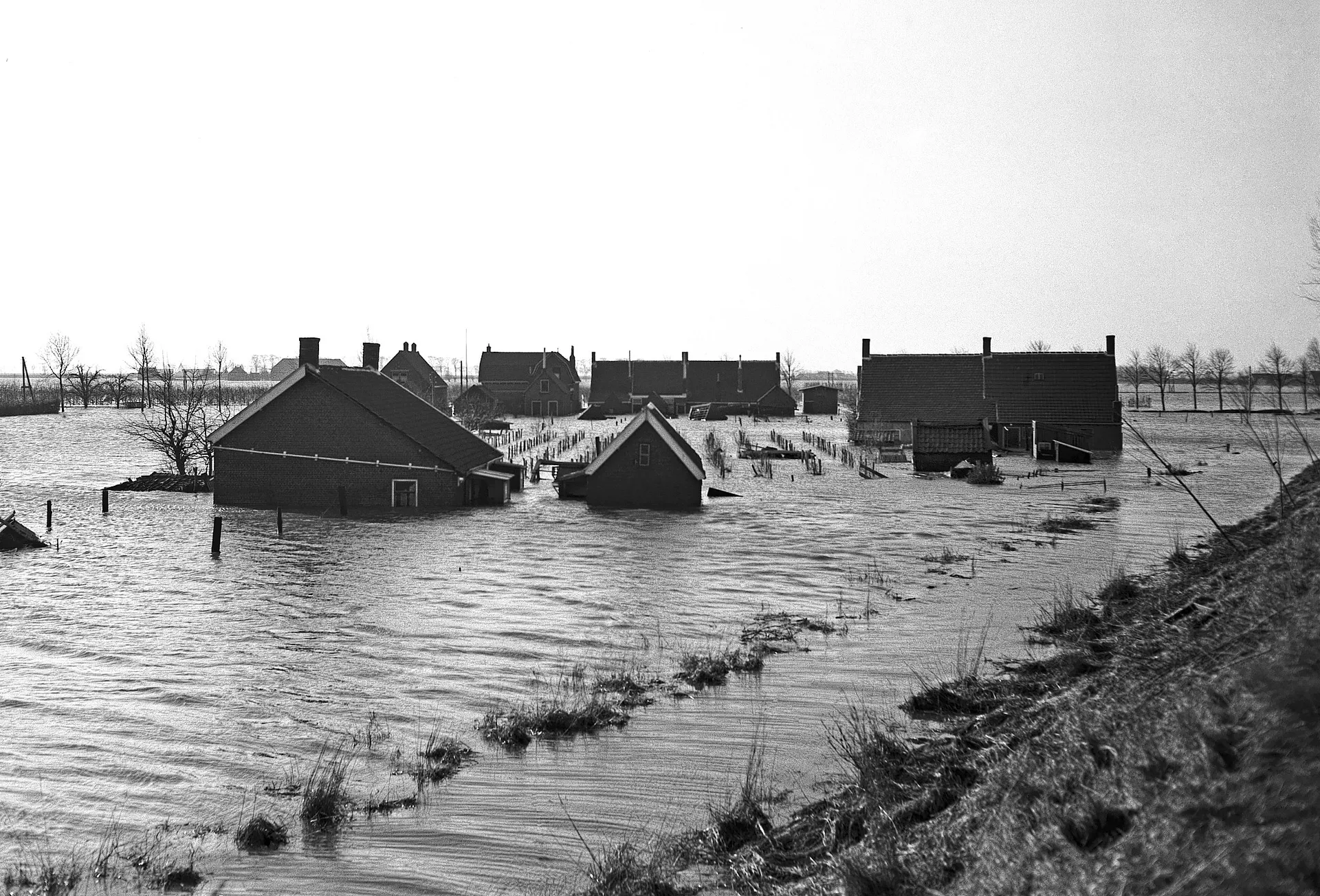 De Watersnoodramp - dit gebeurde er 65 jaar geleden - NRC