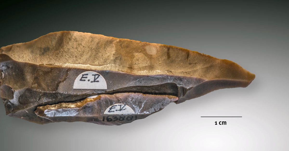 Vervalsing van de steentijd - NRC