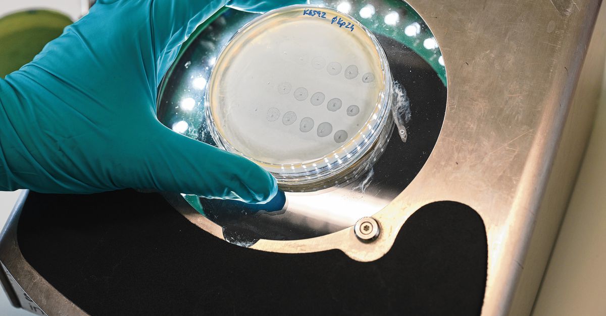 ‘Virussen en bacteriën zijn verwikkeld in een titanenstrijd’