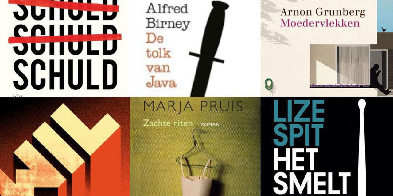 Welk boek wint de Libris Literatuur Prijs? 