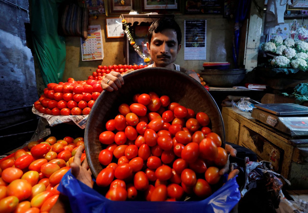 In India is de tomaat nu een luxegoed 