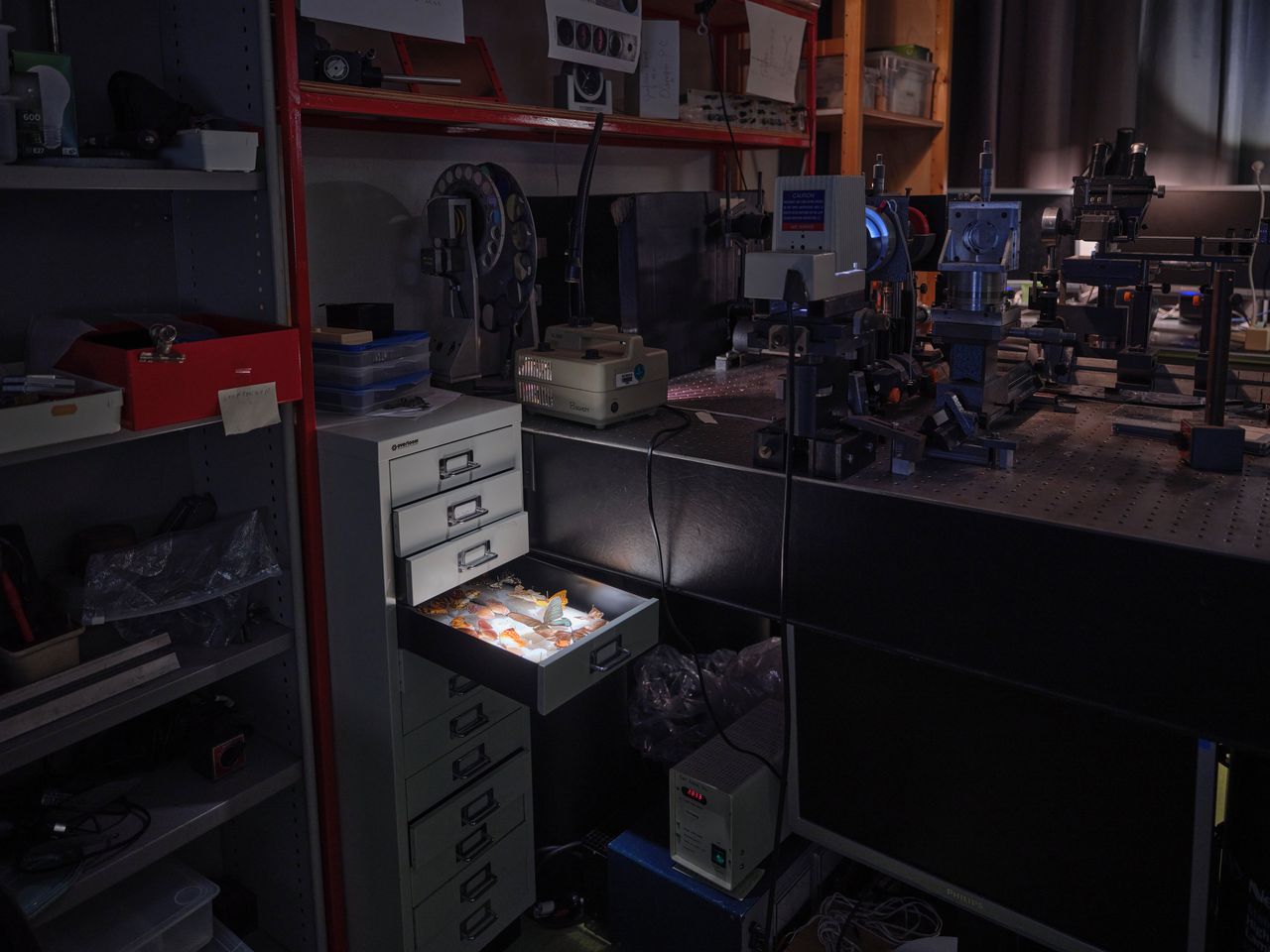 In a lab full of self -built instruments, Doekele Stavenga (83) investigates the secret of iridescent animal colors