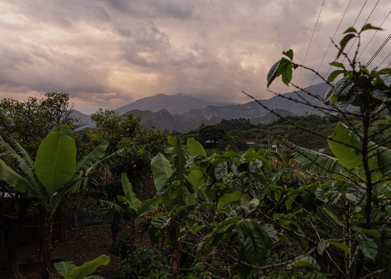 Lag het aan de schone berglucht of aan de ‘eeuwige lente’ op 1.500 meter boven zeeniveau waardoor bewoners van Vilcabamba zo oud werden?
