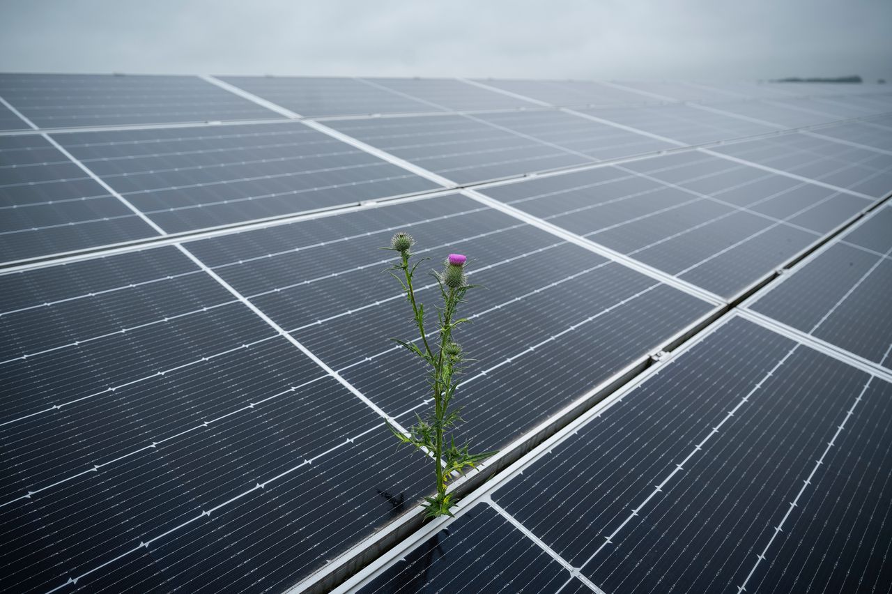 Nieuwe stakingen bij de Nederlandse Spoorwegen zijn voorlopig van de baan -  NRC