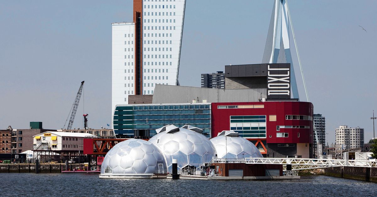 Te veel plannen voor de Rijnhaven? - NRC