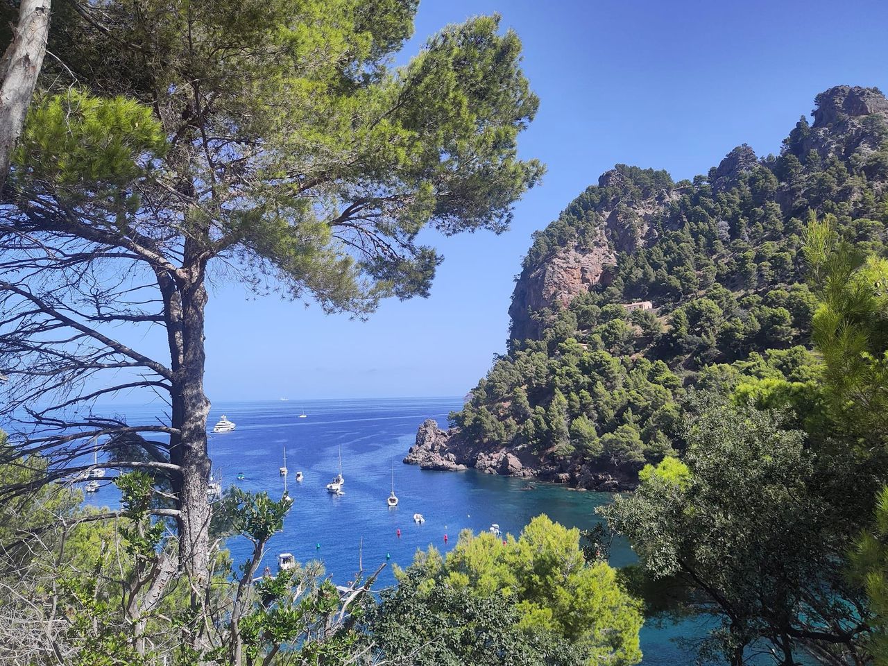 Mallorca offers longest eclipse view in Europe: 1 minute 36 seconds of darkness