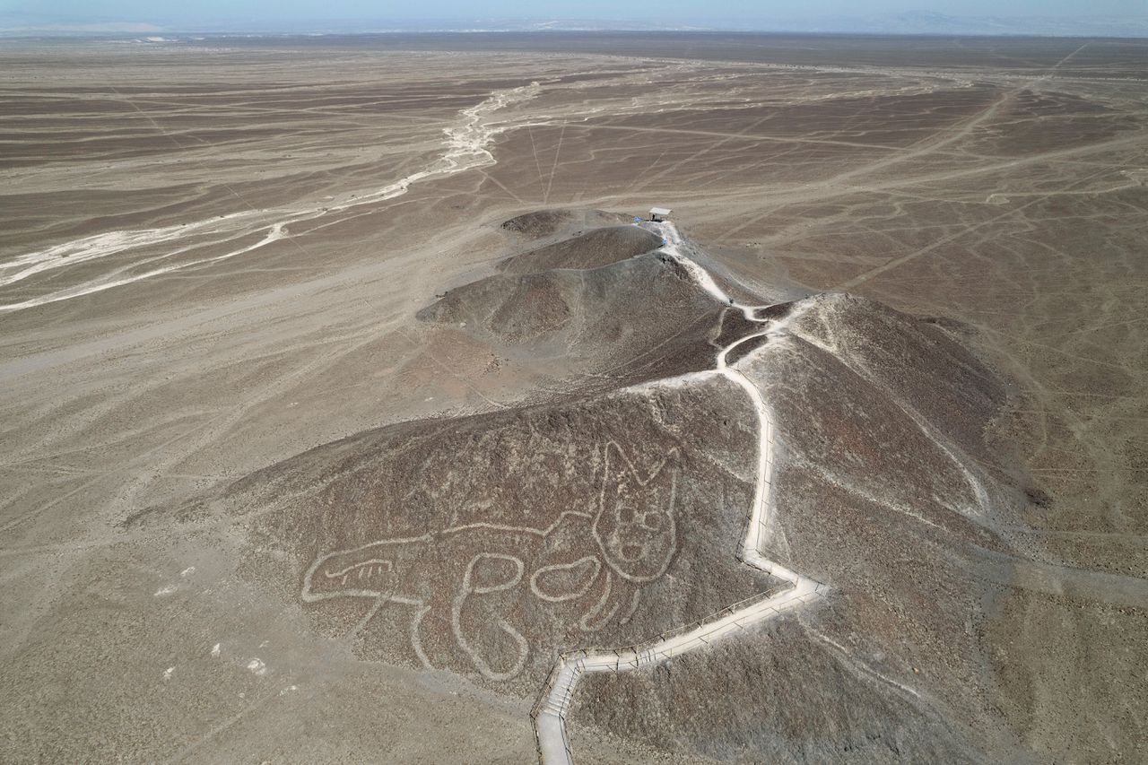 Peruvian government argued anger of archaeologists by restricting the protection of famous Nazca lines