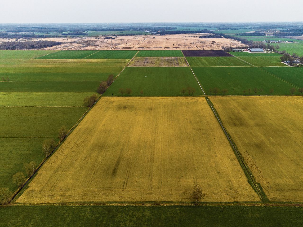 EU-stemming over bestrijdingsmiddel glyfosaat eindigt in impasse: binnen een maand nieuwe stemming 