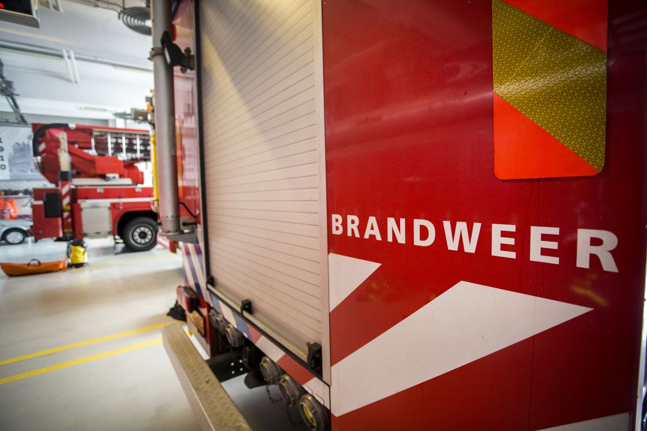 Tientallen dode kalveren bij stalbrand Zwaagdijk 