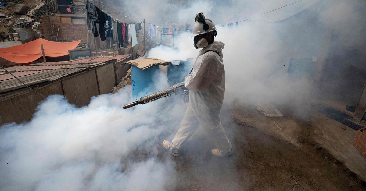 Peru declares a state of medical emergency due to the rapid spread of the dengue virus