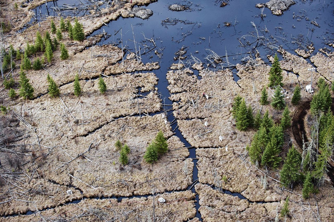 Schoonmaakactie na een olielek in 2011 waarbij 28.000 vaten olie in een moerasgebied bij Little Buffalo, Canada terechtkwamen.