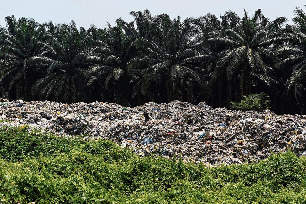 Plastic afval bij een rij oliepalmen op een verlaten fabrieksterrein vlakbij Kuala Lumpur, Maleisië.