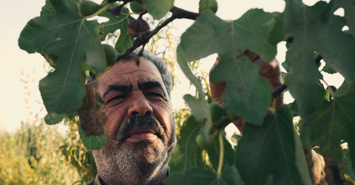 Syrische boeren kampen met extreme droogte en akkers vol landmijnen