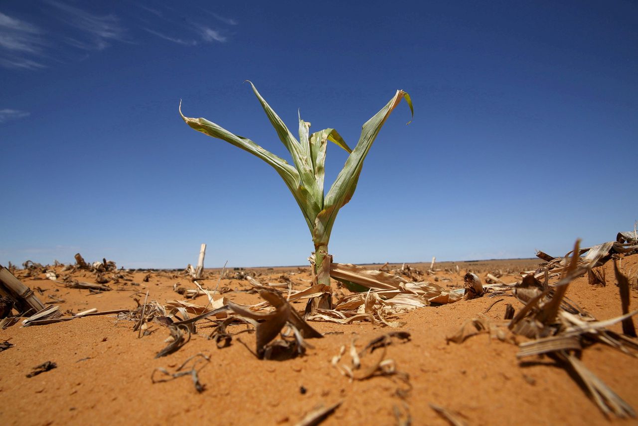 VN-baas Guterres waarschuwt voor ‘catastrofaal pad’ naar 2,7 graden opwarming 