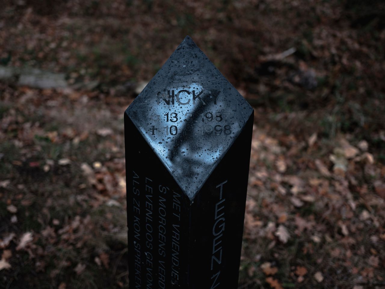 Op de plek waar het lichaam van Nicky Verstappen werd gevonden, op de Brunssemmerheide, staat een monumentje.