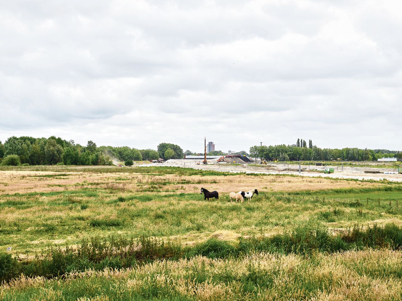 Na uitspraak Raad van State vrees voor ‘opdrogen’ van de bouw, maar ook kans op meer innovatie  