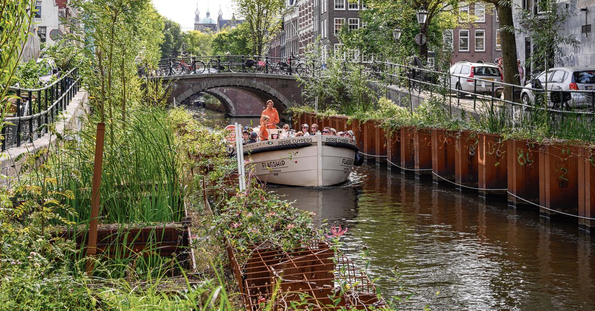 'Watertuinen zorgen voor verrommeling van de grachten' - NRC