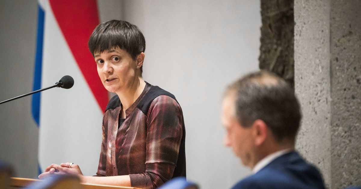 Partij voor de Dieren steunt omstreden pensioenplan NSC, ogen nu op Denk gericht
