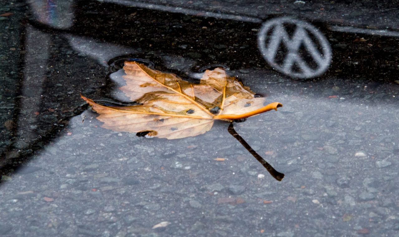 Het logo van een Volkswagenauto reflecteert in een plas wter, bij de fabriek in Wolfsburg in Duitsland.
