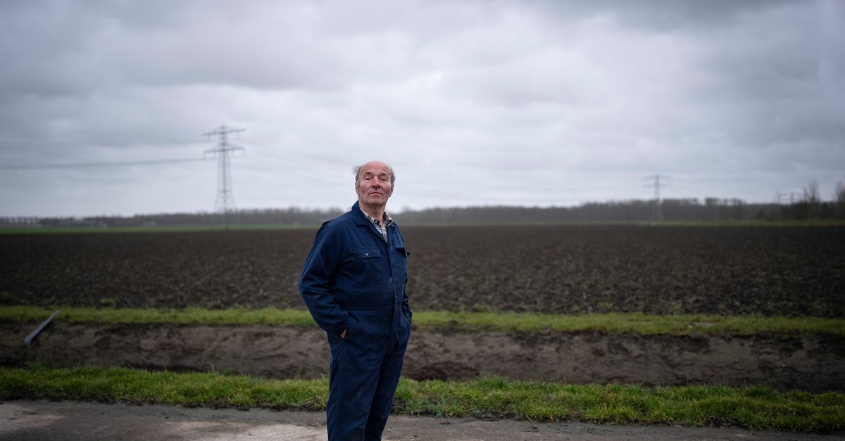 Veldbonen doen alles goed, toch staan ze nauwelijks op het menu. Wie reanimeert de veldboon?