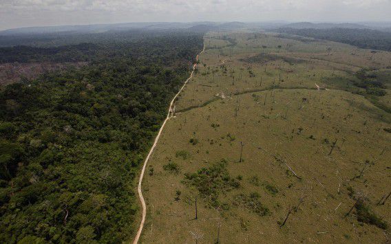 Een ontbost stuk regenwoud in de staat Para in Brazilië in 2009.