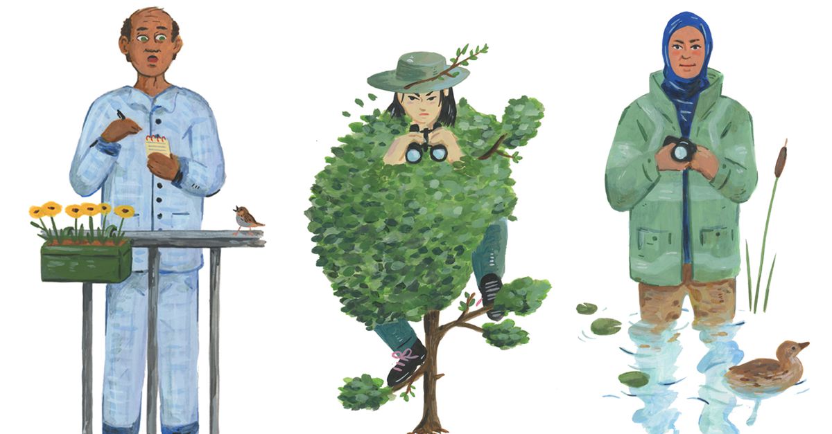 Ga vogels kijken en je wordt gegarandeerd gelukkiger