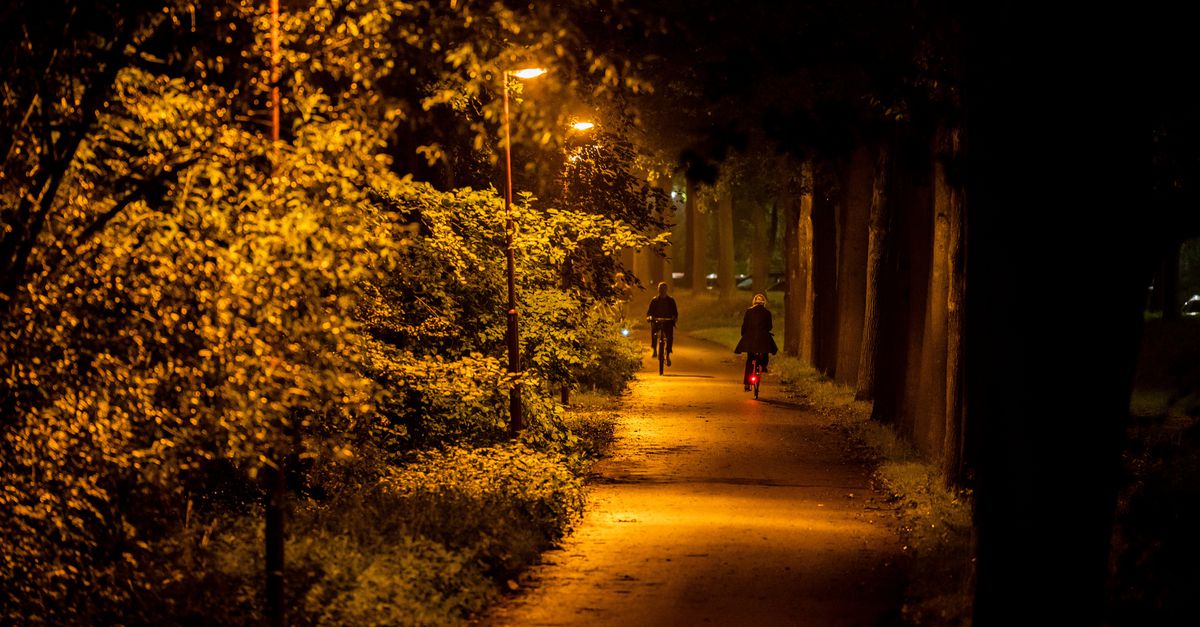 De politie heeft vrijdagochtend een 28-jarige man uit de Utrechtse wijk Lunetten aangehouden op verdenking van het mishandelen van meerdere vrouwen.