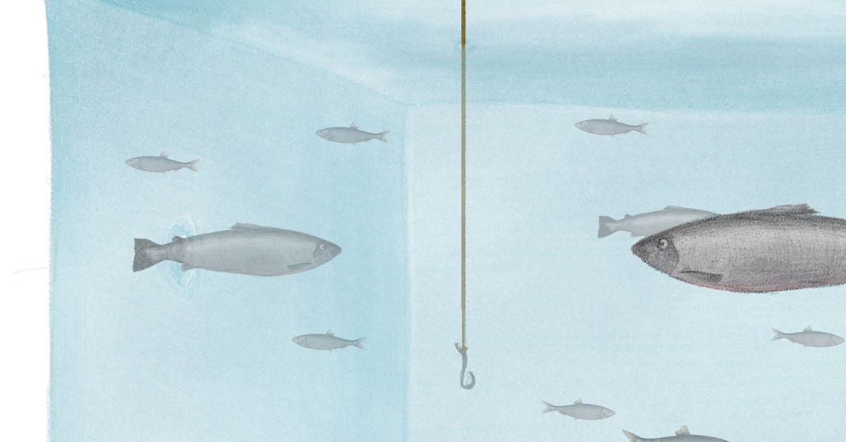 Opinie | De vis wordt duur betaald - NRC