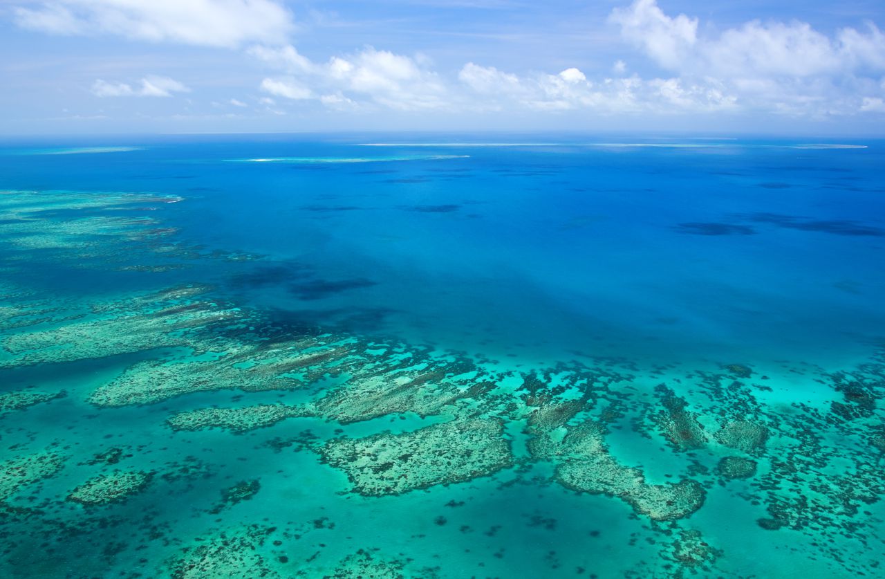 Great Barrier Reef ging al vijf keer dood - NRC