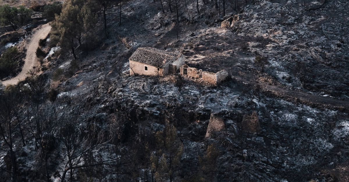 ‘Het vuur is als een monster.’ Hoe de dodelijke brand in het Zuid-Spaanse Bédar de autoriteiten en de bewoners overrompelde