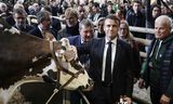 Il presidente Emmanuel Macron con la pluripremiata mucca normanna Orillet al Salon International de l'Agriculture di Parigi sabato scorso