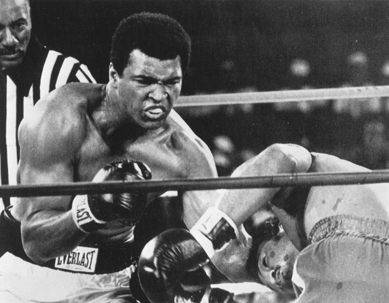 Het leven van Muhammad Ali in tien ronden 