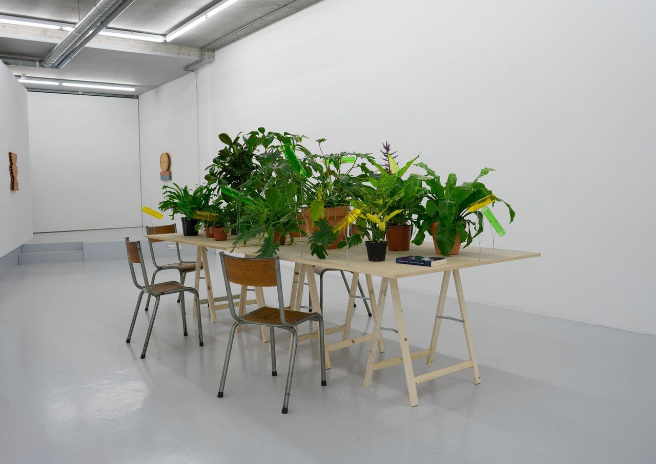 Zaalaanzicht: Oscar Abraham Pabón, Talking to Plants, 2019.