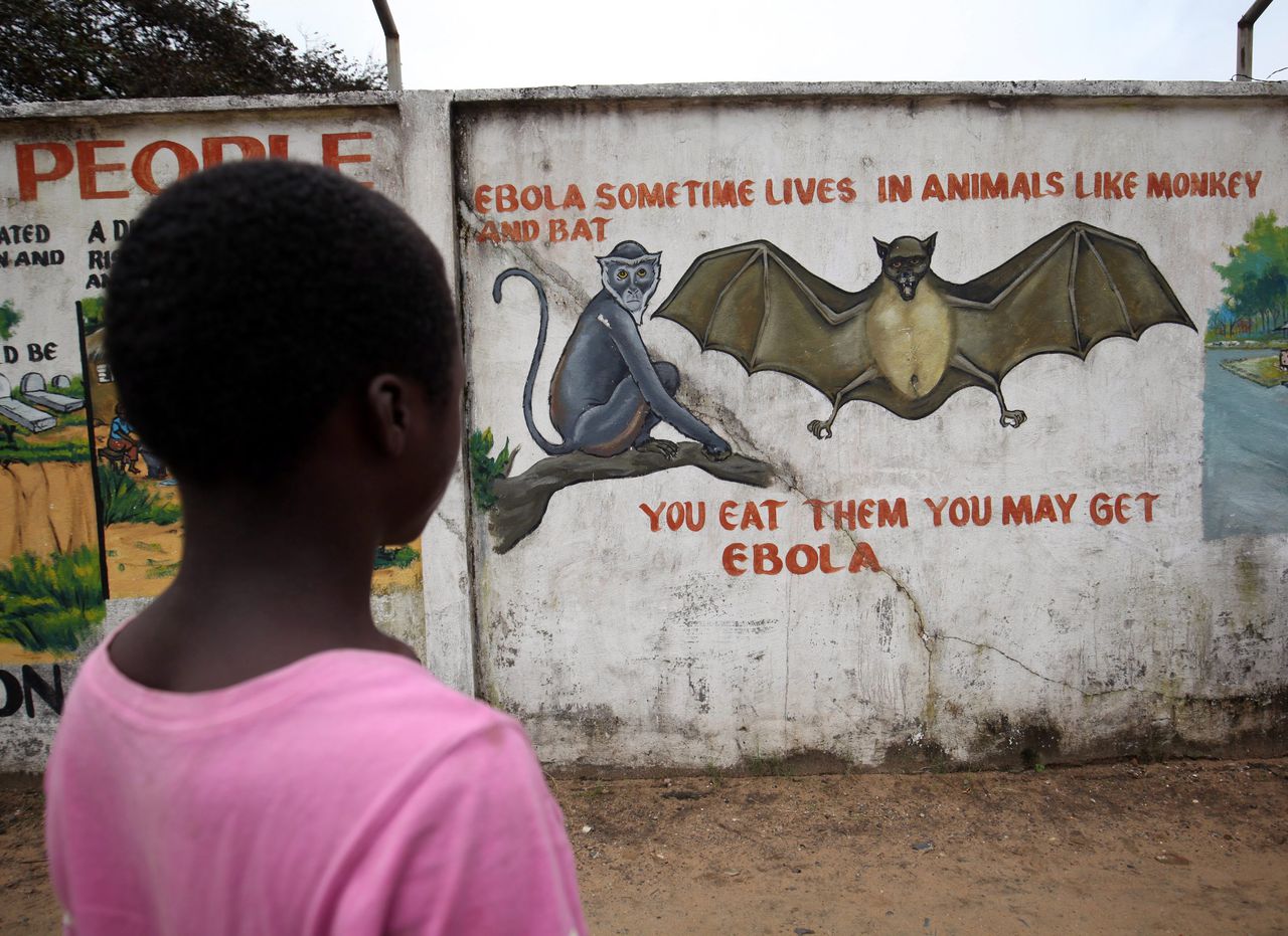 Rode Kruis verloor 5 miljoen door fraude bij bestrijding ebola 