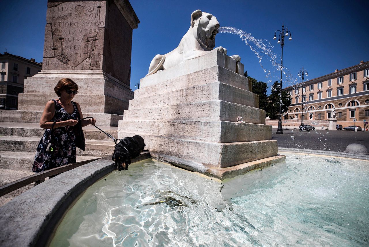 Een teckel zoekt verkoeling in het water van de fontein op het Piazza del Popolo in Rome.