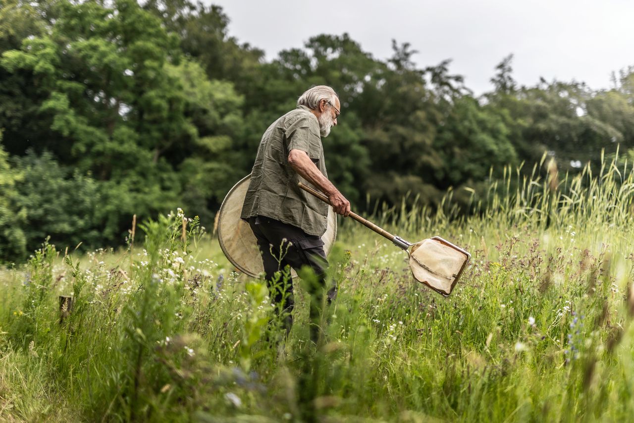 Shield Bug Expert Debunks Myths, Highlights Insect Diversity
