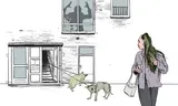 Flee for domestic violence yourself, but leave the cats? That never