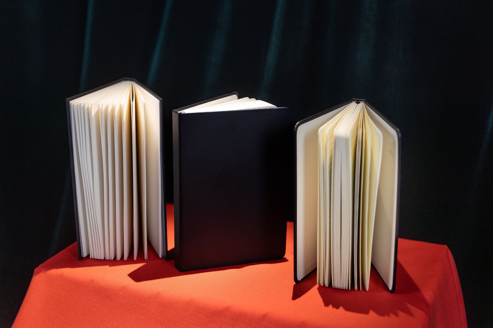 Deskundigen motiveren hun keuze voor het beste boek: ‘Oei, wat is dit