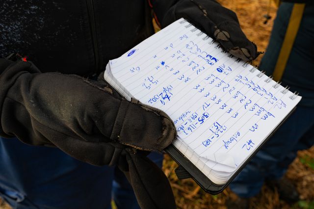 Alle waarnemingen worden genoteerd.