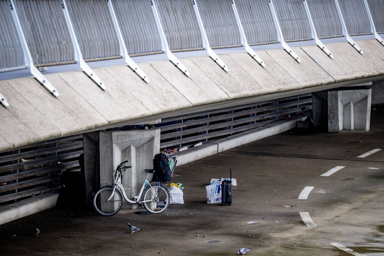 Opinion | One homeless mother with two children, a hundred employees: it helps nothing