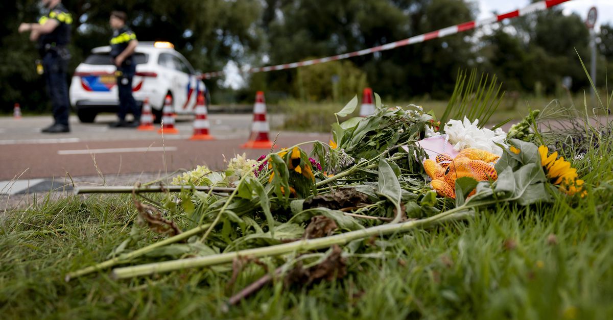 容疑者はアブクードによるリサ殺害とその他の犯罪を自白