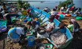 Sorteren en schoonmaak van de visvangst in het stadje Kisumu aan het Victoriameer. 