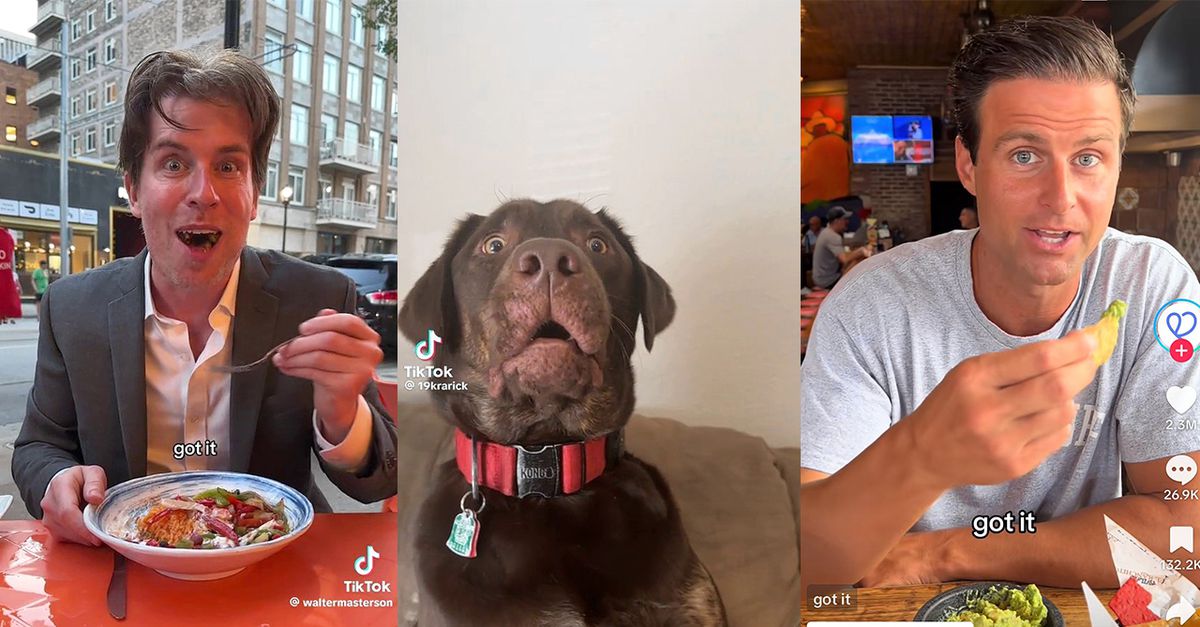 De cultuurstrijd wordt op TikTok met humor gestreden: ‘make pets safe again’