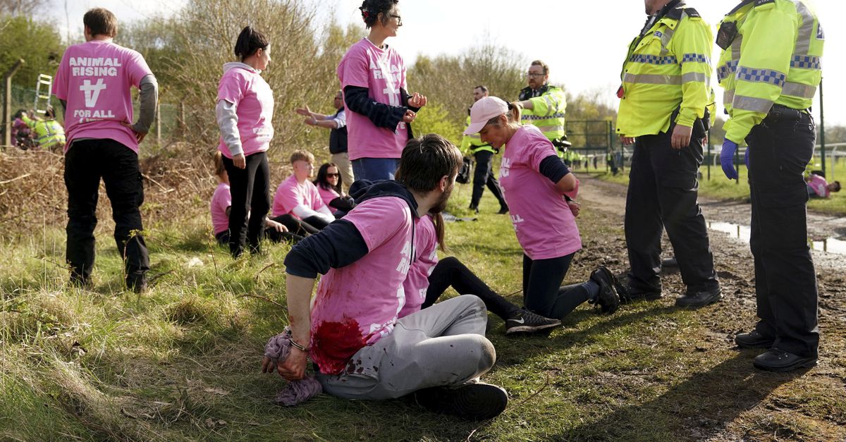 More than a hundred animal activists arrested at British Grand National
