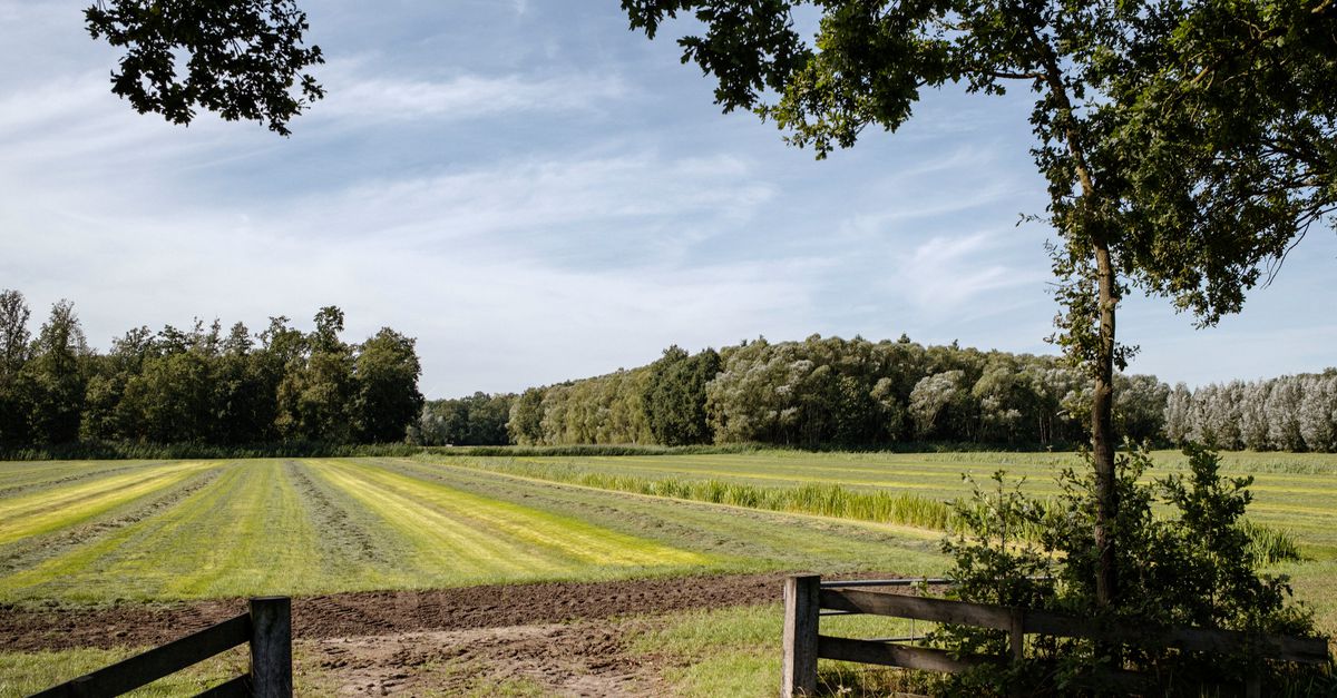 How citizens protect the countryside: everyone can help balance agriculture and nature