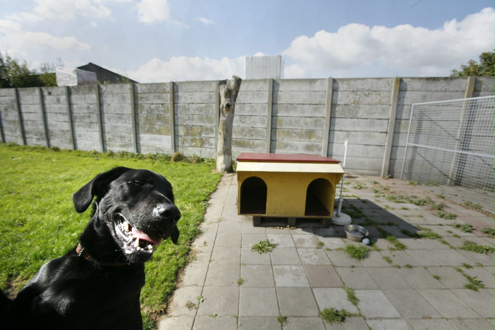 Blaffende honden, balende buren NRC