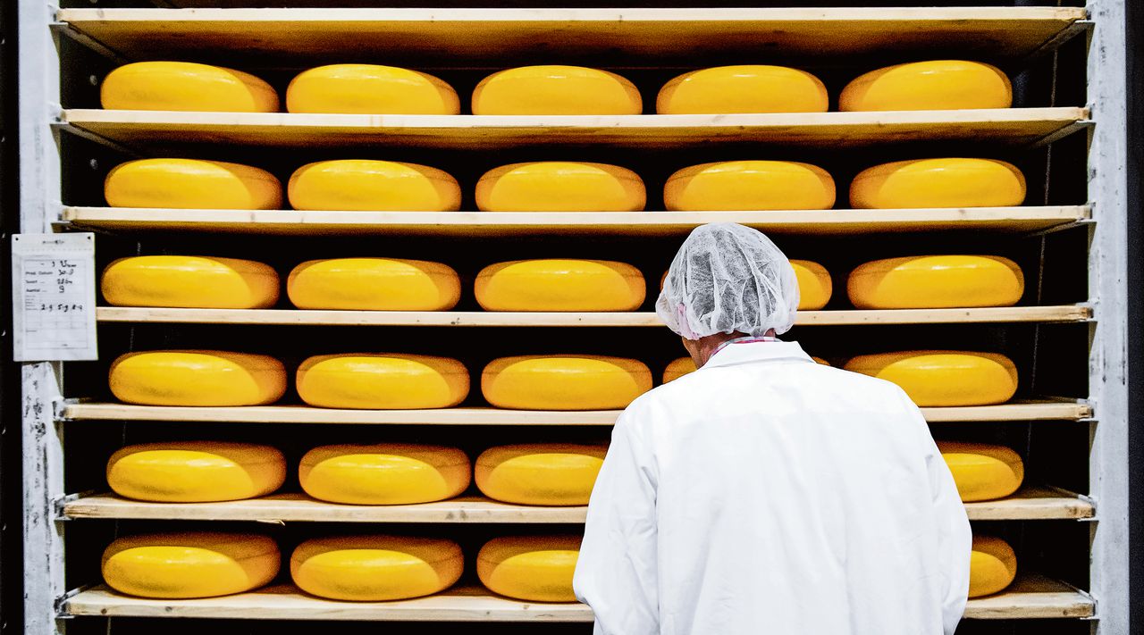 De kaasfabriek van FrieslandCampina in Workum. Het bedrijf ontving een Europese lening van 150 miljoen euro voor onderzoek naar nieuwe zuivelproducten.
